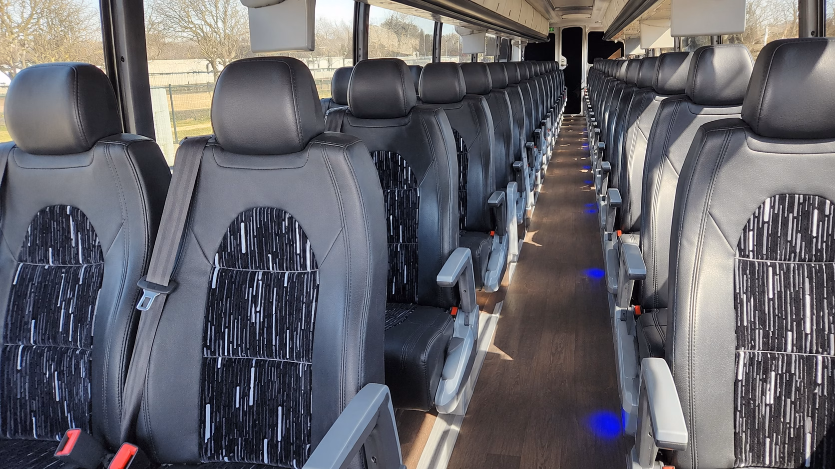 compare buses in minutes not days
